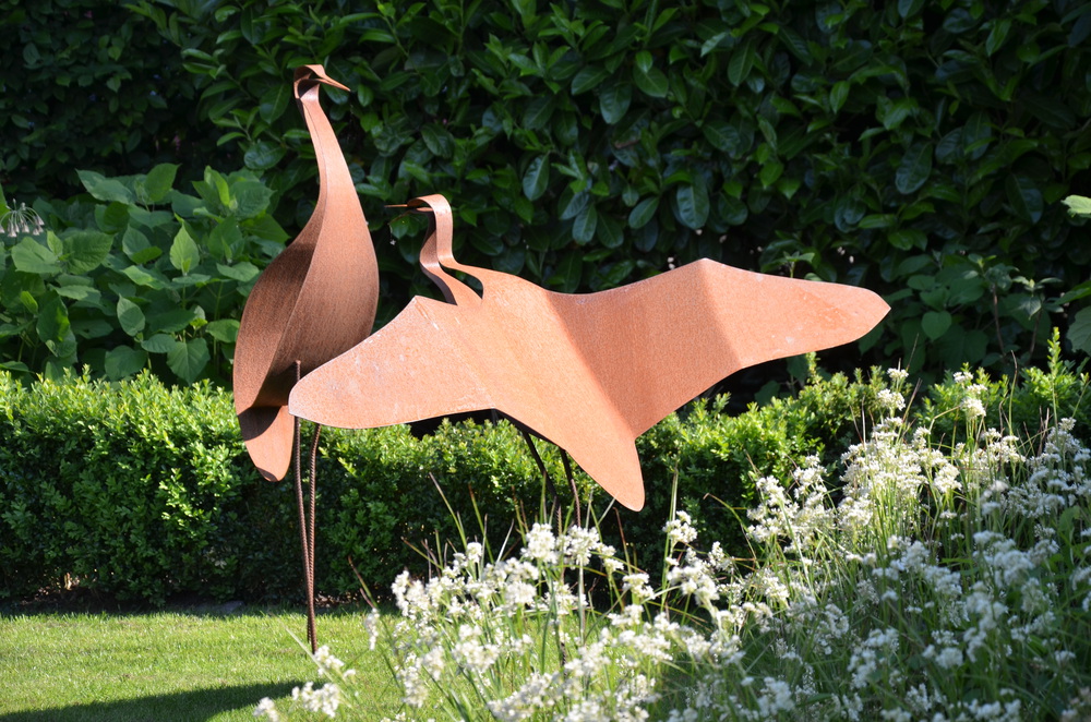 kraanvogel (staand, baltsend mannetje met gespreide vleugels)